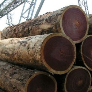 African Round Logs