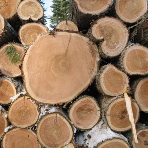European Round Logs